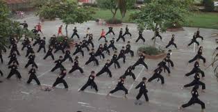 Hình ảnh cho tin tức LỢI ÍCH KHI CHO TRẺ HỌC VÕ THUẬT!